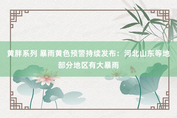 黄胖系列 暴雨黄色预警持续发布：河北山东等地部分地区有大暴雨