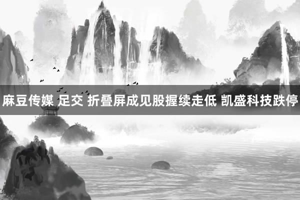 麻豆传媒 足交 折叠屏成见股握续走低 凯盛科技跌停