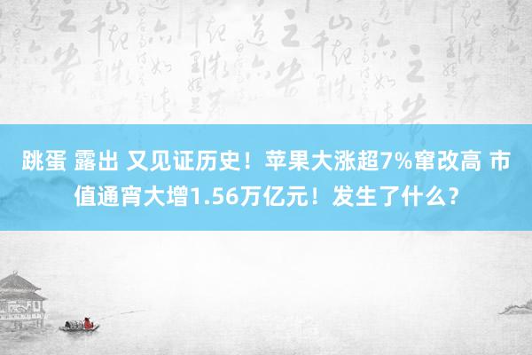 跳蛋 露出 又见证历史！苹果大涨超7%窜改高 市值通宵大增1.56万亿元！发生了什么？