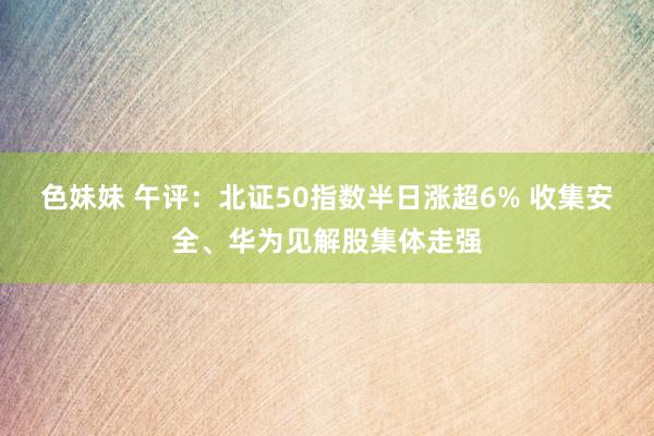 色妹妹 午评：北证50指数半日涨超6% 收集安全、华为见解股集体走强