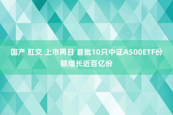 国产 肛交 上市两日 首批10只中证A500ETF份额增长近百亿份