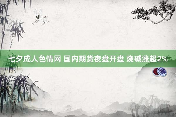 七夕成人色情网 国内期货夜盘开盘 烧碱涨超2%