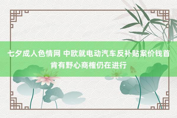七夕成人色情网 中欧就电动汽车反补贴案价钱首肯有野心商榷仍在进行