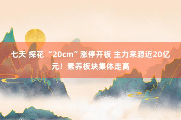 七天 探花 “20cm”涨停开板 主力来源近20亿元！素养板块集体走高