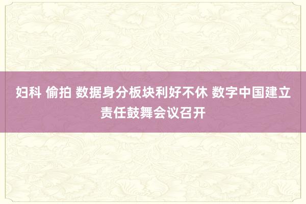 妇科 偷拍 数据身分板块利好不休 数字中国建立责任鼓舞会议召开